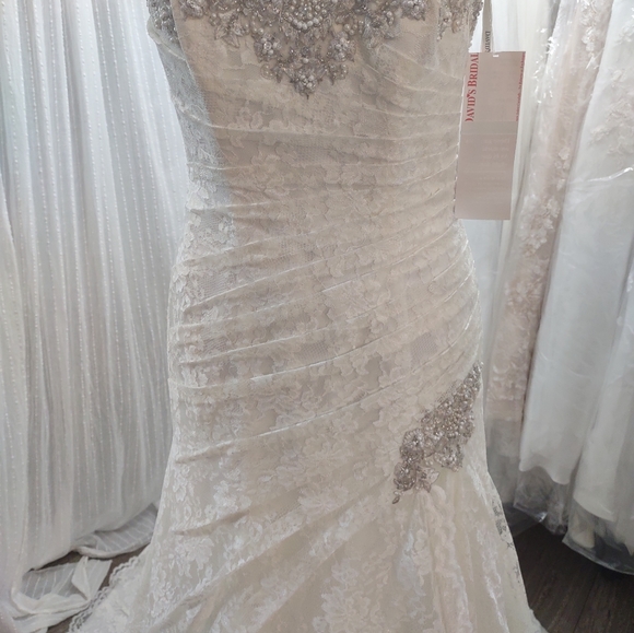 David's Bridal size 4 Wedding Dress With Corset - Picture 3 of 14